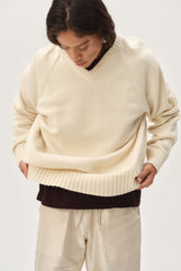 Women The Cotton Knit V-Neck Sweater